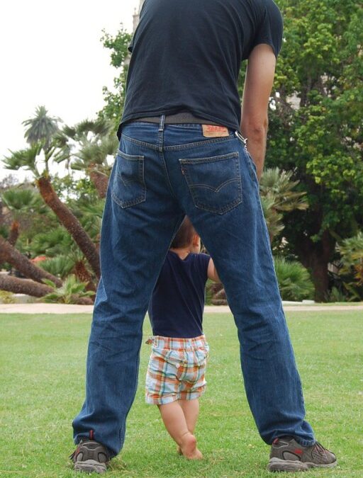 No dia dos Pais ofereça um presente para toda vida: plante uma árvore