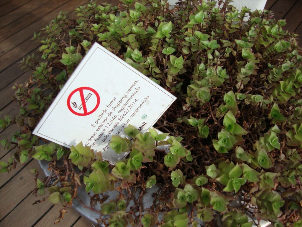 cinzeiro no shopping (Copy)