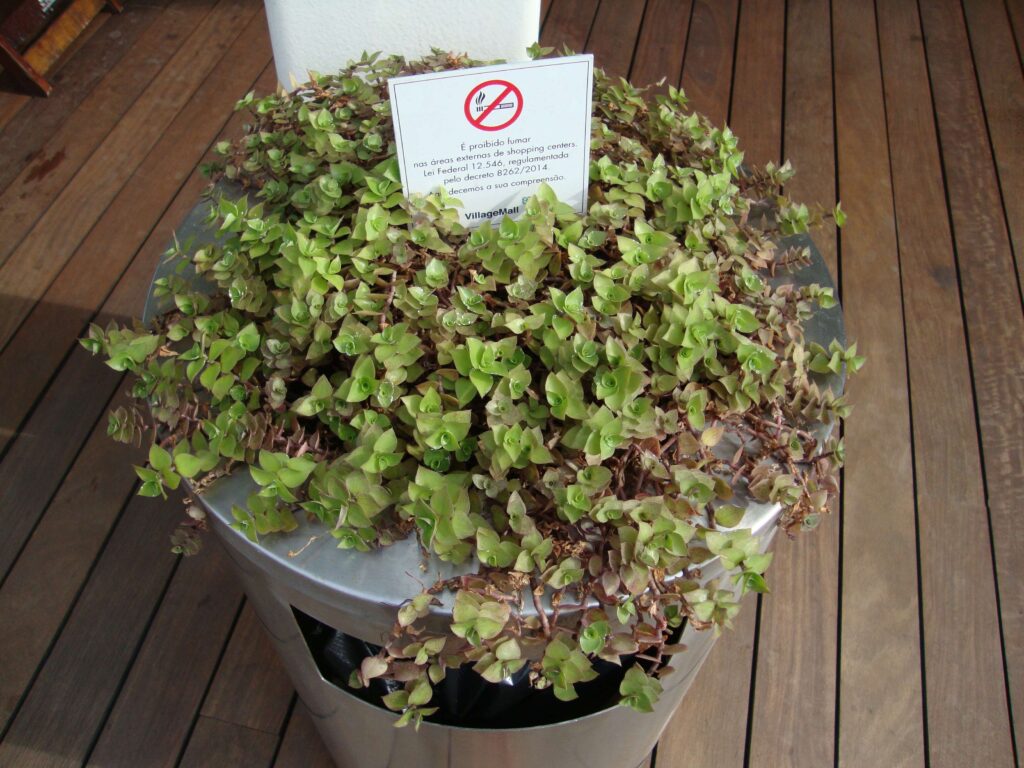 cinzeiro shopping1 (Copy)