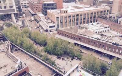 High Line: conheça o parque construído sobre uma antiga ferrovia em Nova Iorque