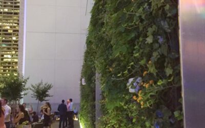 Jardins verticais trazem vida à cobertura de hotel no centro de Nova Iorque