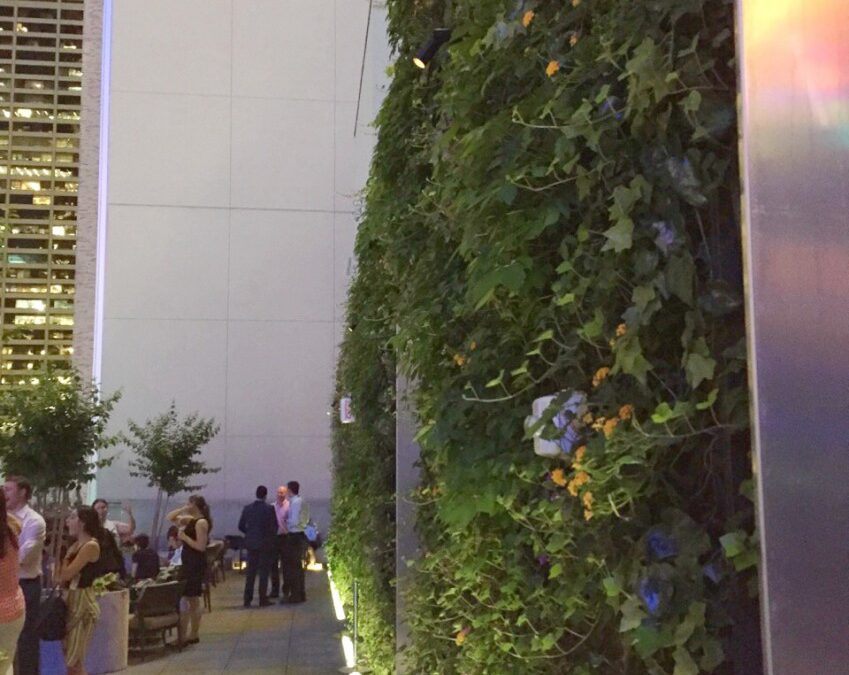 Jardins verticais trazem vida à cobertura de hotel no centro de Nova Iorque