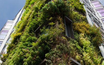 Jardim vertical: conheça as paredes verdes de Patrick Blanc na França