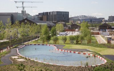 Piscinas naturais que usam plantas para filtrar a água são inovação em Londres e na França