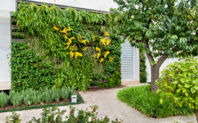 Dá para fazer um  jardim vertical em qualquer ambiente! Conheça a tecnologia para isto