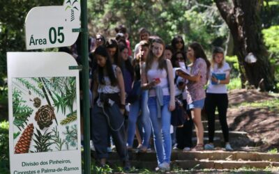 Porque um Jardim Botânico é importante?