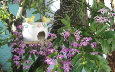 Vasos e casinhas para passarinhos de cerâmica são um charme no jardim