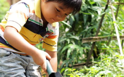 A primavera chegou, vamos para rua plantar