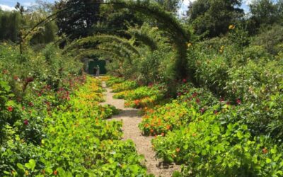 Passear no Jardim de Monet na França é uma inspiração