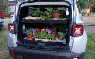 Passeio na floricultura favorece o contato com a natureza