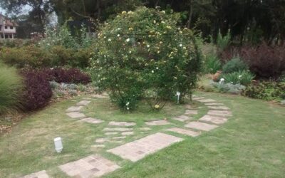 Sabia que o jardim pode curar as pessoas e o ambiente? Conheça o paisagismo regenerativo