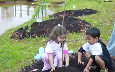 Como atrair as crianças para atividades no jardim?