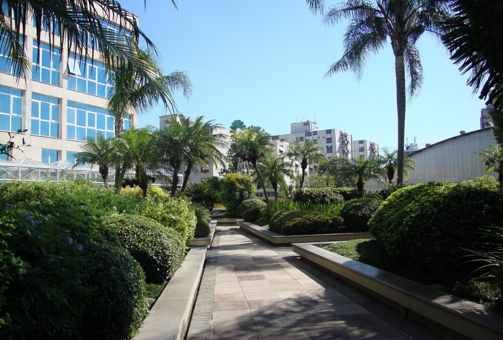 Sicredi conquista certificação inédita no Brasil por sustentabilidade