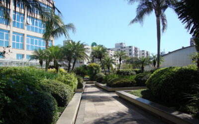 Sicredi conquista certificação inédita no Brasil por sustentabilidade