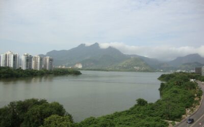 Mangue e a urbanização convivem na Barra da Tijuca