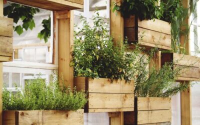 Veja 8 ideias criativas para usar pallets no jardim