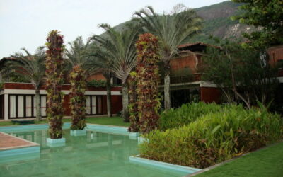 Burle Marx  e seus jardins tropicais