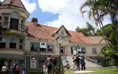Jardim, música e poesia em uma ação coletiva na Vila Assunção
