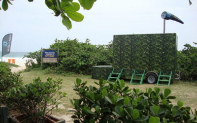 Idéias criativas: descubra o banheiro disfarçado na paisagem