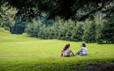 Você já ouviu falar de psicologia ambiental?