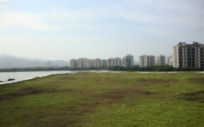 Telhado verde em shopping melhora o bem estar