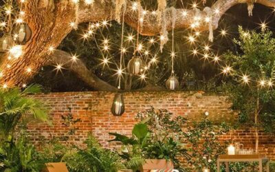 Idéias para ambientar festas no jardim neste final de ano