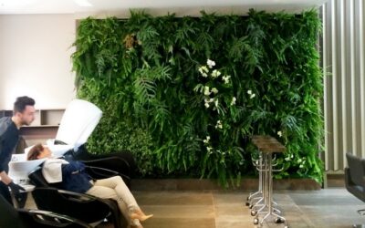 Jardim vertical é tendência no paisagismo