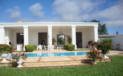 Jardim na praia com plantas resistentes: inspire-se!