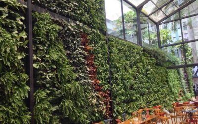 Já ouviu falar de “cortinas verdes” com vegetação?