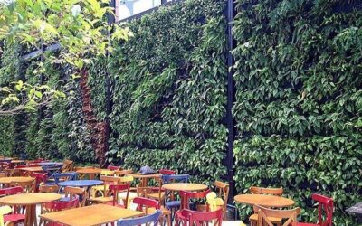 Conheça jardins verticais em ambientes gastronômicos