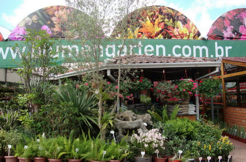 Conviver com as plantas melhora a qualidade de vida