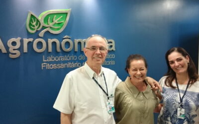 Plantas doentes? Insetos comendo sua horta? Dá para analisar em laboratório  para saber o que é