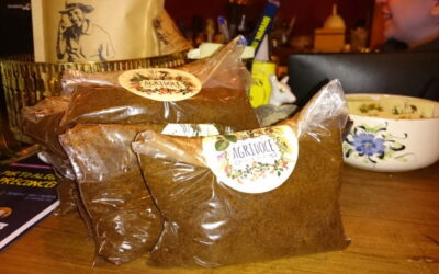 Recicle: Borra do café como adubo para plantas