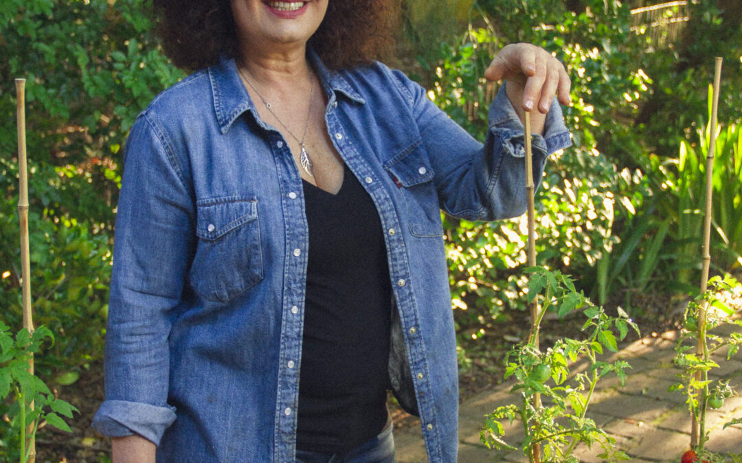 Quer ter uma horta em casa com alface, tomate, pimenta e salsinha?