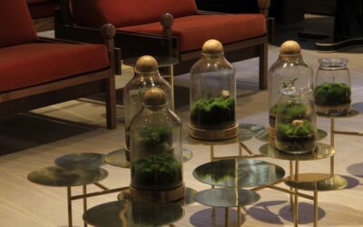 Na Casa Cor SP 2016 os terrários enfeitam os espaços