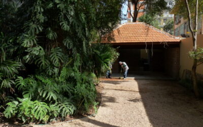 Conheça o incrível jardim do ecologista José Lutzenberger – Capítulo 1