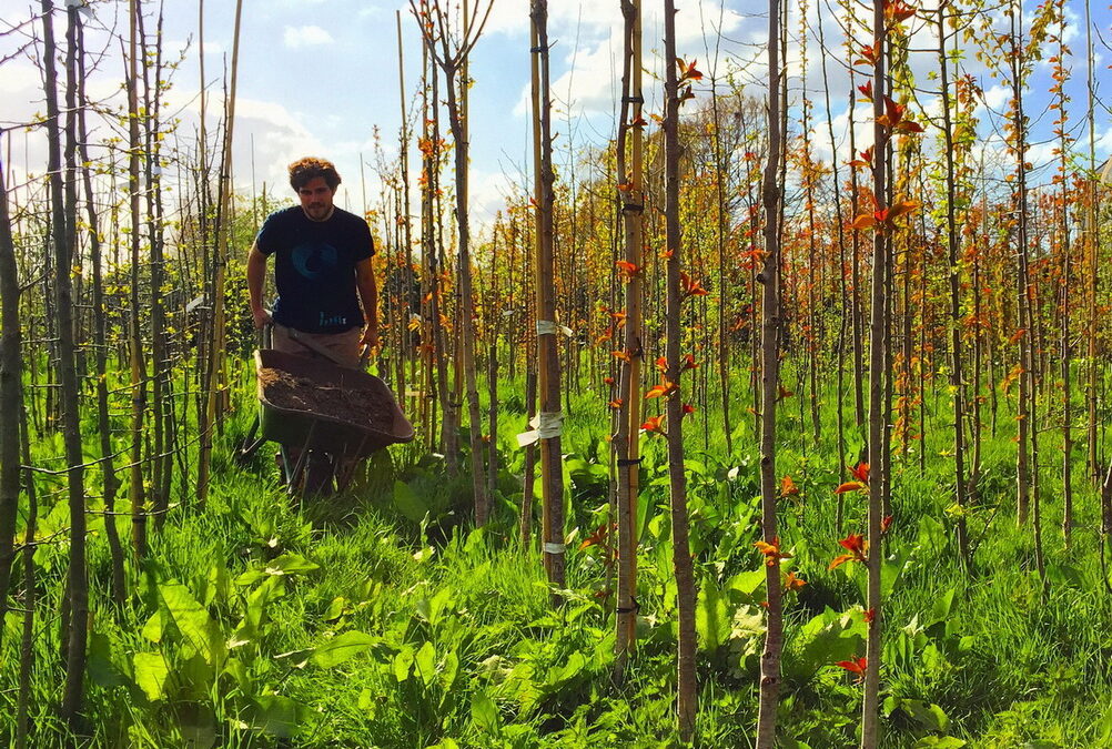 Conheça uma universidade de agricultura orgânica e sustentável na Holanda