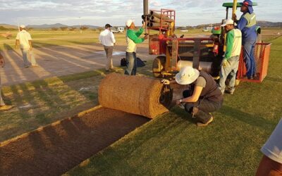 Olimpíadas: conheça os gramados esportivos