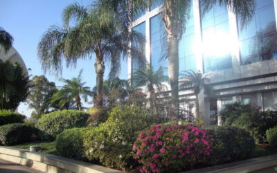 Conforto ambiental nas cidades melhora com telhados e terraços verdes