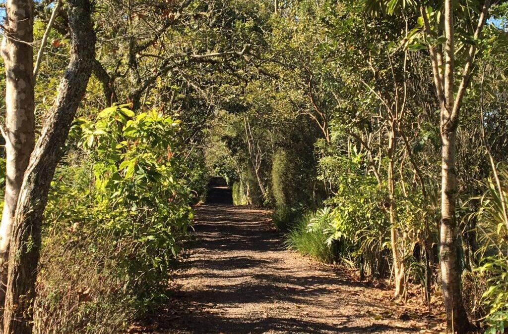 Paisagismo em sítio de lazer na Serra gaúcha
