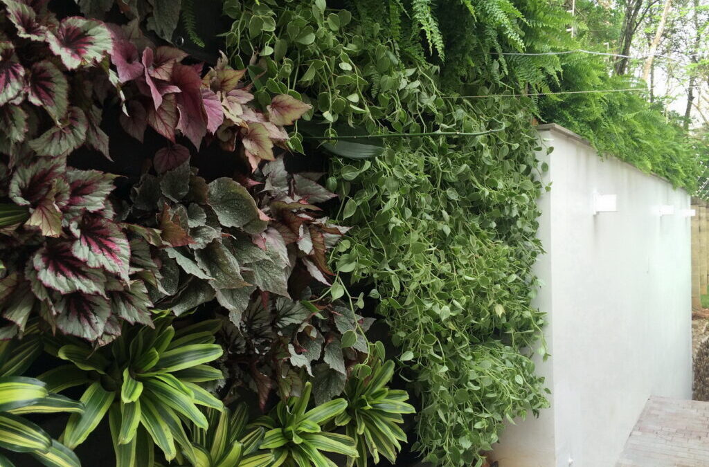 Paredes sem graça? Muros feios? Faça um jardim vertical!
