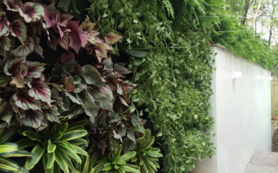 Paredes sem graça? Muros feios? Faça um jardim vertical!