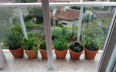 Cultive temperos e hortaliças na sacada