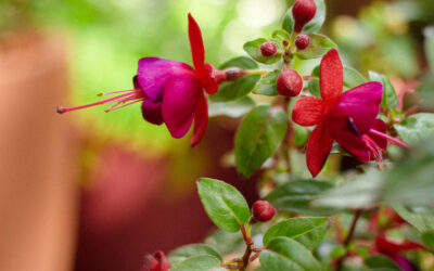 Quer ter beija- flores visitando seu jardim? Cultive plantas nativas para atraí-los