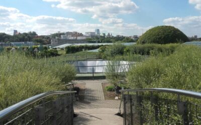Conheça o jardim que fica no telhado da biblioteca da Universidade de Varsovia, na Polonia