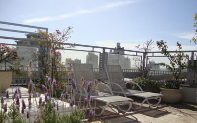 Jardins em coberturas: plantas que resistem