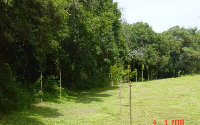 Condomínio Horizontal Reserva do Arvoredo