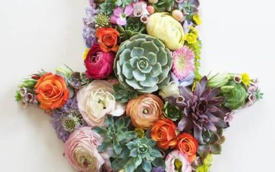 Atraia boa energia para a casa com plantas e Cabala