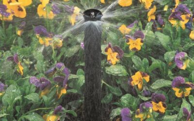 Água no jardim: saiba o que é tendência em irrigação para baixo consumo de água