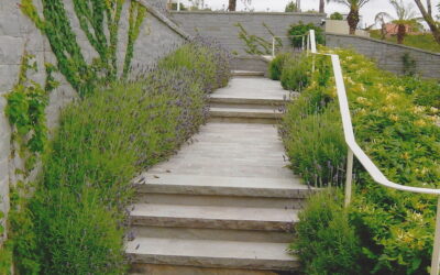 Ideias de caminhos para o jardim